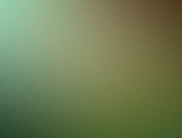 Andry Ranarisoa & LAZA